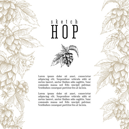 Wheat and beer hops branch with wheat ears, hops leaves and cones vector background. Sketch and engraving design layout, all element isolated.のイラスト素材