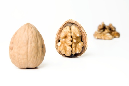 Fresh Walnuts