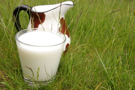 healthy ecological milk and  piebald pitcher, concept, ideaの写真素材