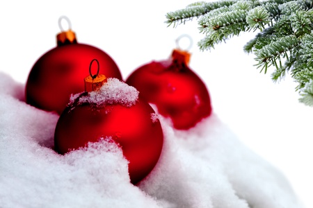 Christmas evergreen spruce tree and red glass balls on snow backgroundの写真素材