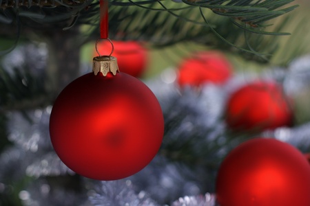 Christmas  evergreen tree and glass ballの写真素材