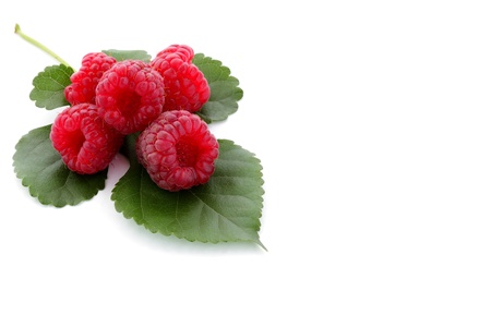 Berries ripe, red raspberry with green leaf isolated on white の写真素材