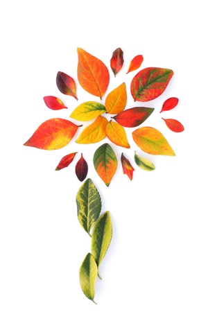Beautiful decoration made from multicolored autumn leaves, backgroundの写真素材