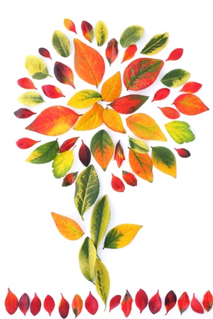 Beautiful decoration made from multicolored autumn leaves, backgroundの写真素材
