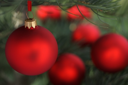 Christmas  evergreen tree and blur glass ballの写真素材
