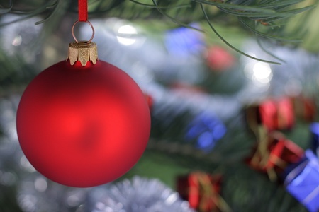 Christmas  evergreen tree and blur glass ballの写真素材
