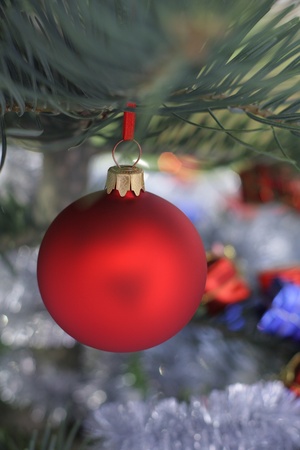 Christmas  evergreen tree and blur glass ballの写真素材