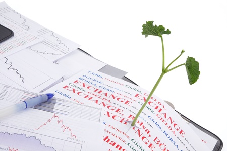 When bull market arrives? Maybe just now! Office, desk, documents, charts, quotes, and new  plant â bull marketの写真素材