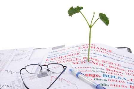 When bull market arrives? Maybe just now! Office, desk, documents, charts, quotes, and new  plant â bull marketの写真素材