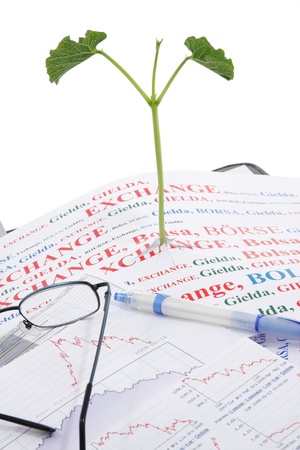 When bull market arrives? Maybe just now! Office, desk, documents, charts, quotes, and new  plant â bull marketの写真素材