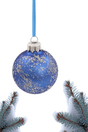 Christmas  evergreen tree and glass ballの写真素材