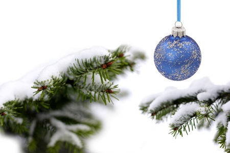 Christmas  evergreen tree and glass ballの写真素材