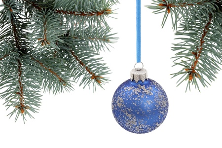 Christmas  evergreen tree and glass ballの写真素材