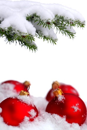 Christmas evergreen spruce tree and red glass balls on snow backgroundの写真素材
