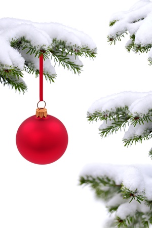Christmas  evergreen tree and glass ballの写真素材