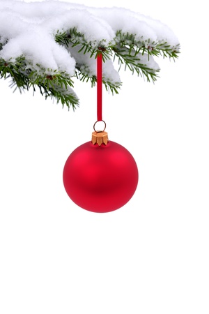 Christmas  evergreen tree and glass ballの写真素材