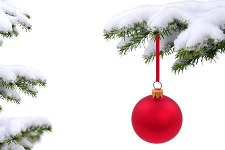 Christmas  evergreen tree and glass ballの写真素材