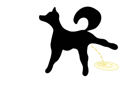 Black silhouette of a dog pissingの写真素材