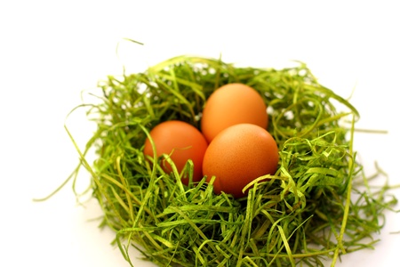 Easter egg and spring timeの写真素材