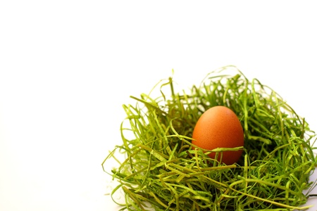 Easter egg and spring timeの写真素材