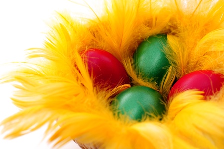 Easter egg and spring timeの写真素材