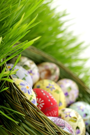 Easter egg and spring timeの写真素材