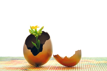 Easter egg and spring timeの写真素材