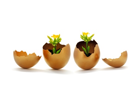 Easter egg and spring time