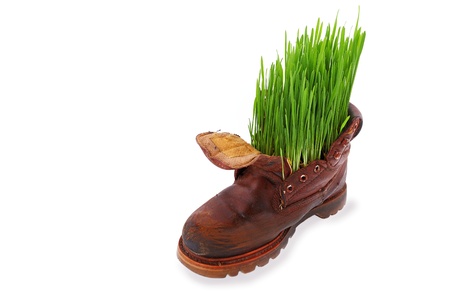 Easter and spring comes everywhere, even in the old soldier s boot の写真素材