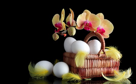 Easter sunrise, white eggs and spring yellow orchid with drop of dewの写真素材