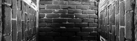Great background in old brick empty  room