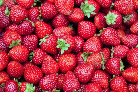 Fresh strawberries  red background, ecology and nature の写真素材
