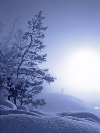 Winter landscapeの写真素材