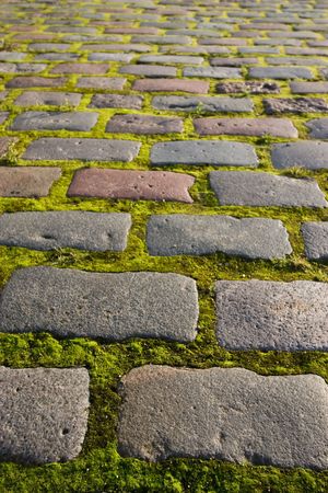 Cobblestone sidewalkの写真素材