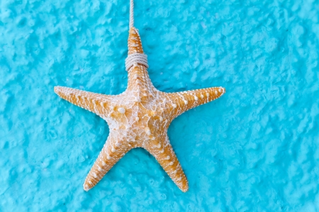 Atmosphere by the sea starfish turquoiseの写真素材