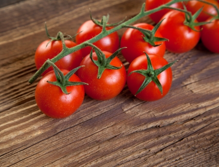 Bush of tomatoes from the right edgeの写真素材