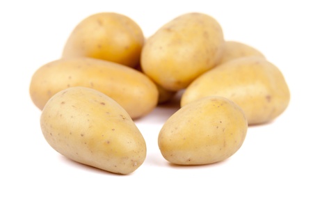 Group of isolated potatoesの写真素材