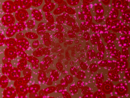 blood is the source of life