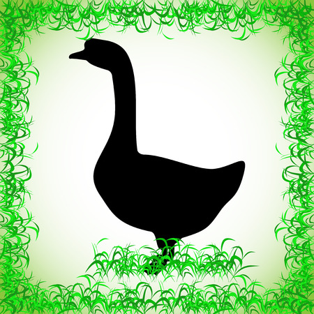 on the farm goose vector illustration. realistic image of contour objectのイラスト素材