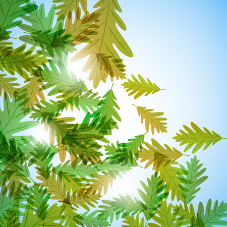 Illustration autumn still life. Oak leaves. Vector backgroundのイラスト素材