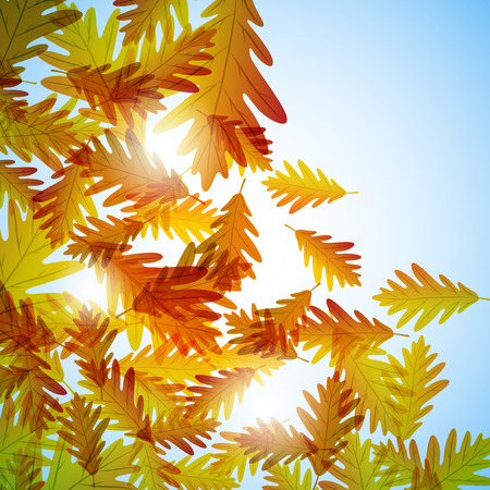 Illustration autumn still life. Oak leaves. Vector backgroundのイラスト素材