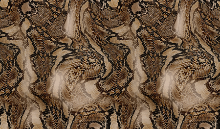 snake skin background