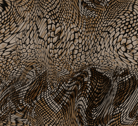 snake skin backgroundの写真素材