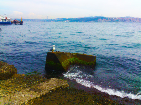 istanbul shoreの写真素材