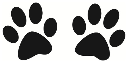 Vector - Black paw printのイラスト素材