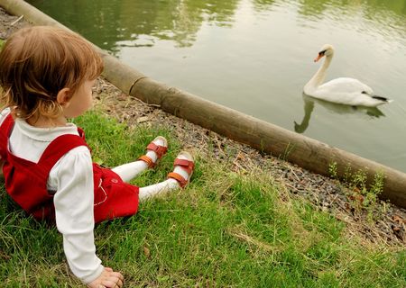 Little girl sitting on the green grass and looking at the swan in the lake that swam up to bank.の写真素材