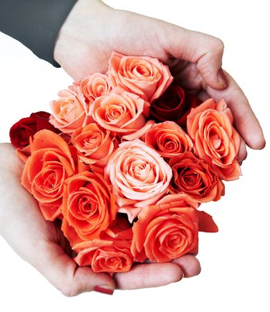two hands of woman with bouquet of red roses (upper view) isolatedの写真素材