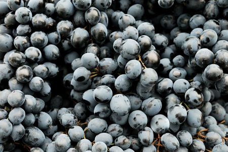 heap of ripe black dark blue rape