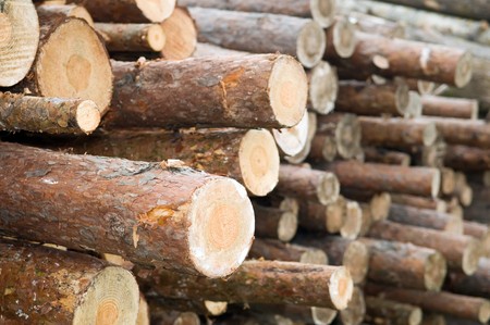 Stacked wood pine timber for construction buildings