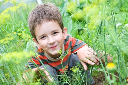 little smiling boy in the field of dill outdoorsの写真素材